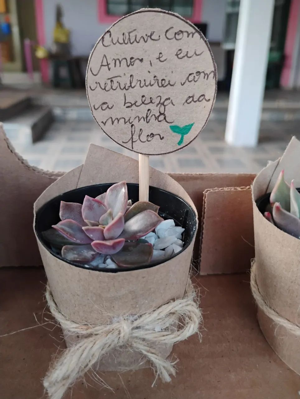 Coração que Cria ? - Foto 4
