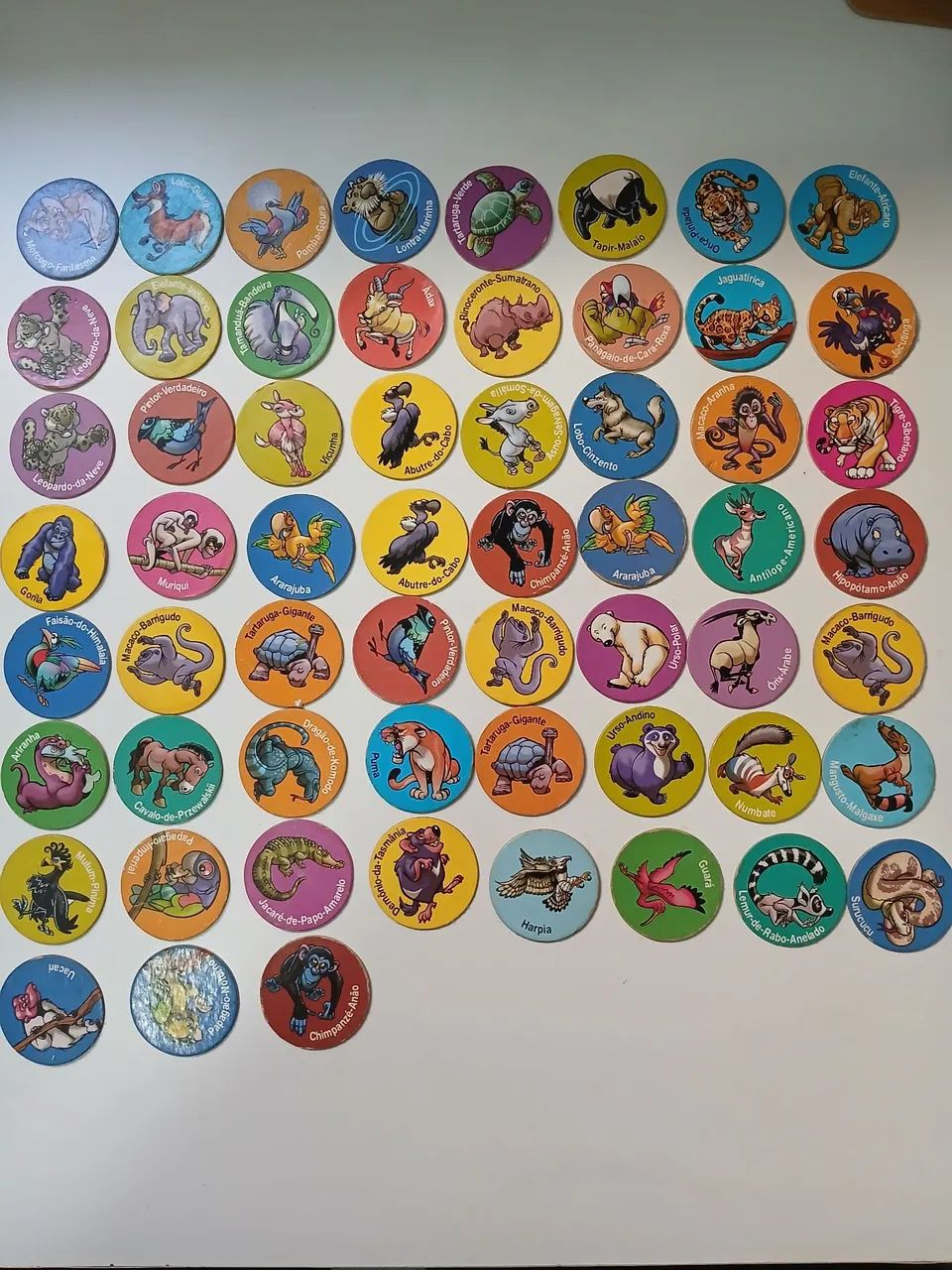 Tazzos Ping Pong Animais em Extinção  - Foto 2