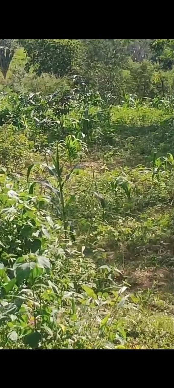 Terreno a venda 