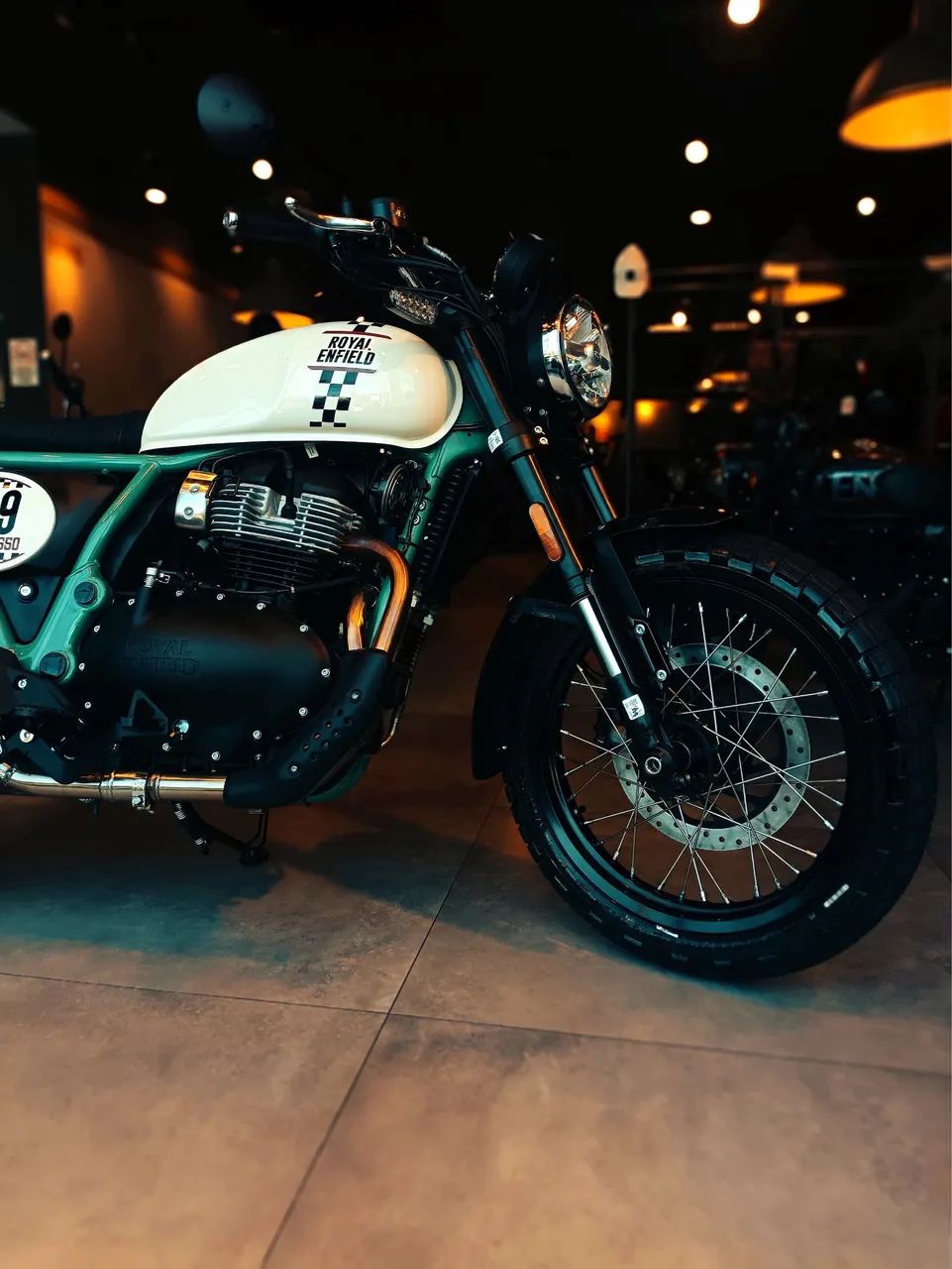 Bear 650 - Danielle  - Foto 2
