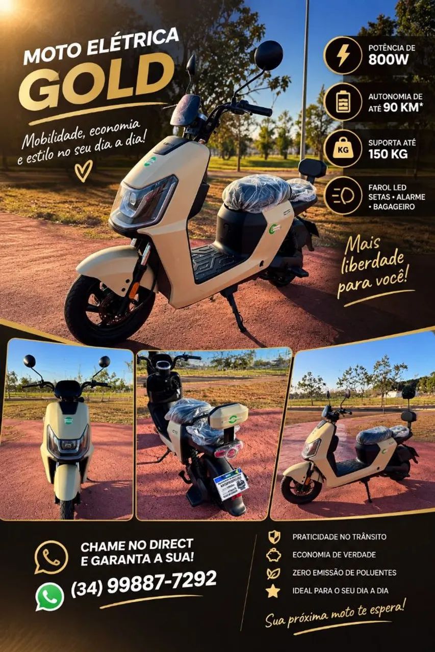 MOTO ELÉTRICA 800W