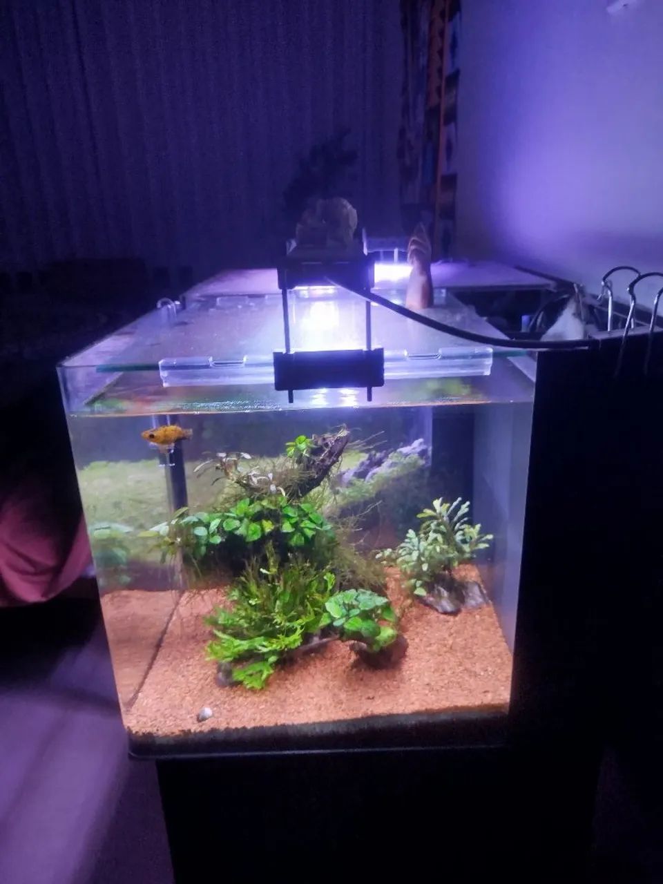 Aquários de 27 litros  - Foto 3