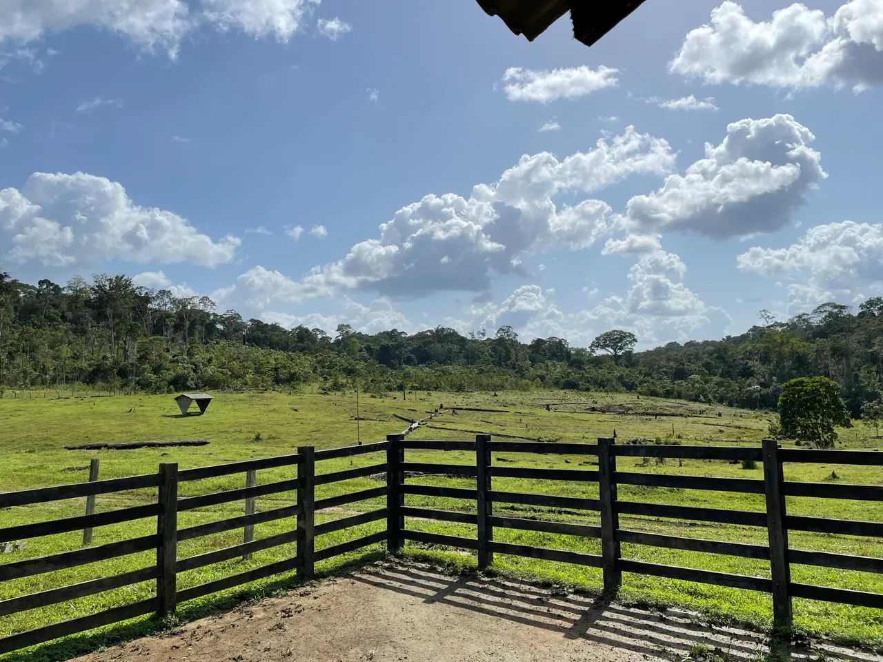 FAZENDA - TARTARUGALZINHO - Foto 4