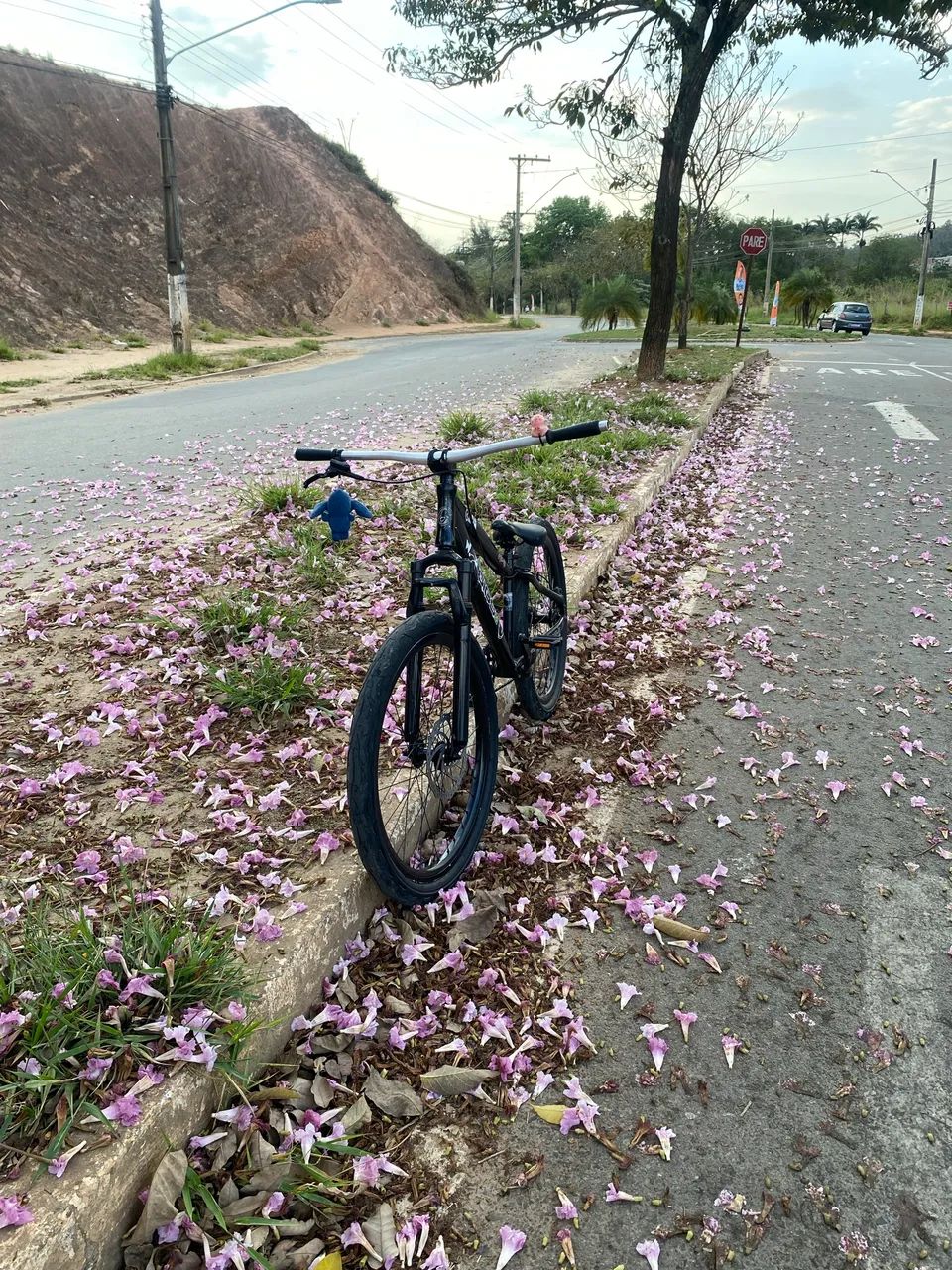 Bicicleta Gios FRXIII - Foto 5