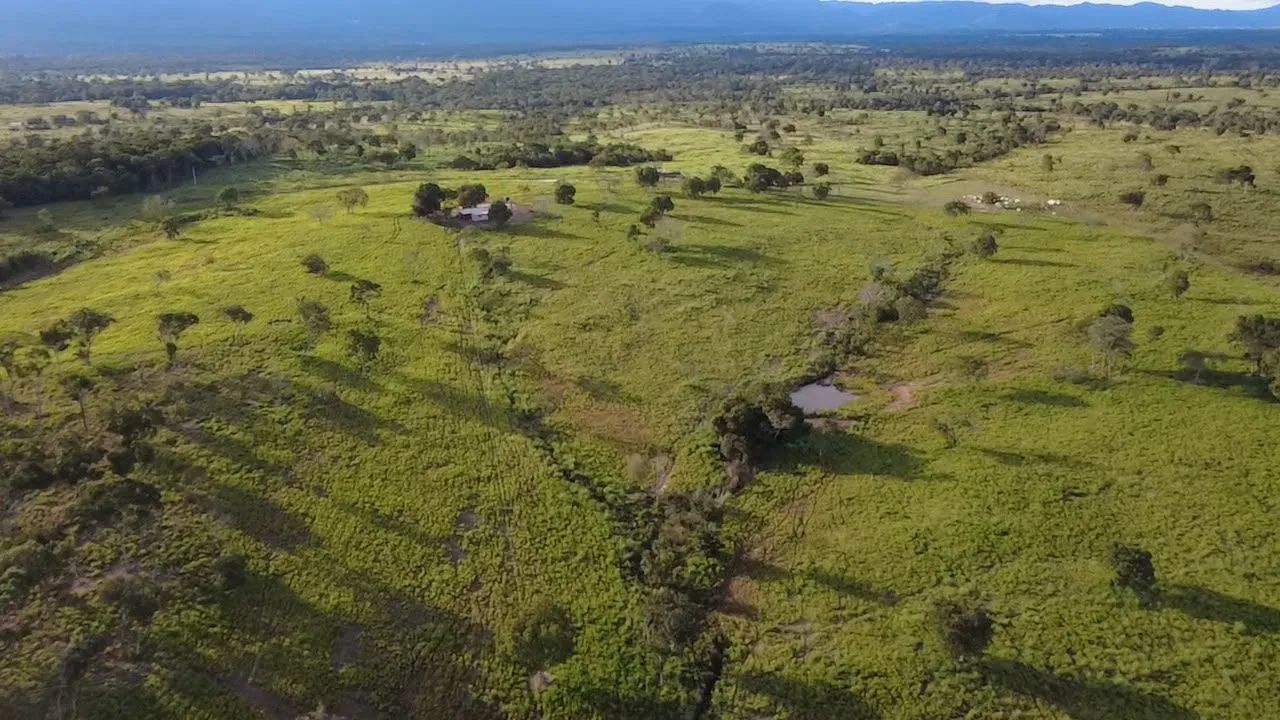FAZENDA A VENDA - Foto 5