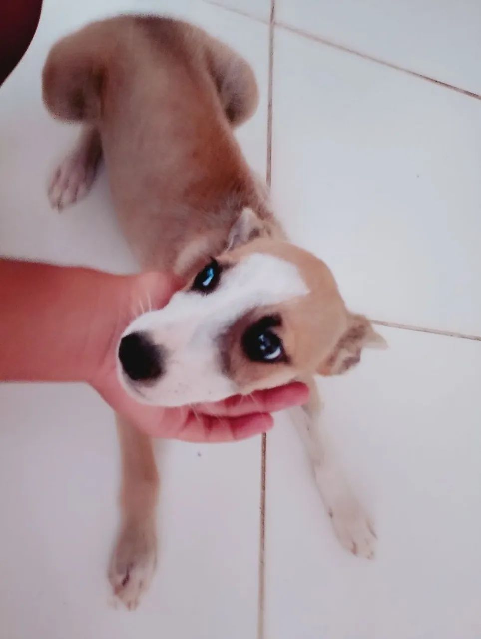 Doa-se 