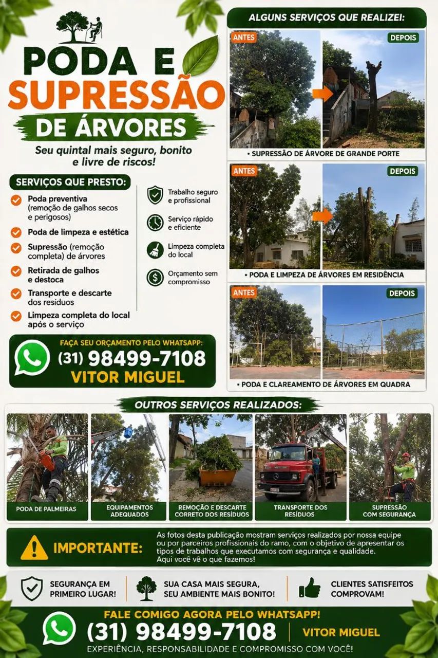 Supressão e poda de árvores 