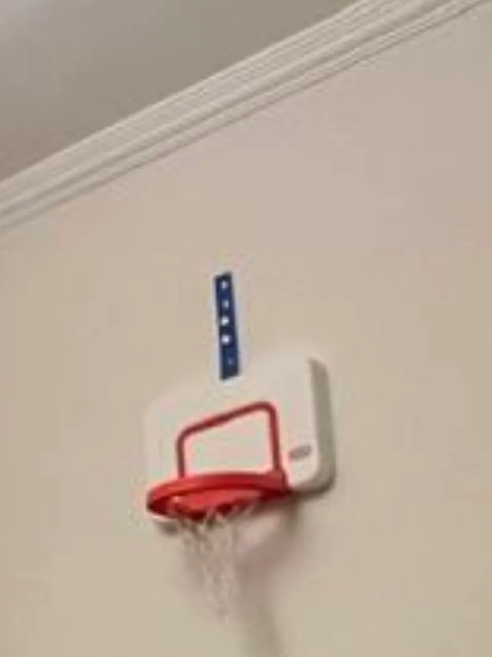 Cesta Basquete Importada com Regulagem de Altura 