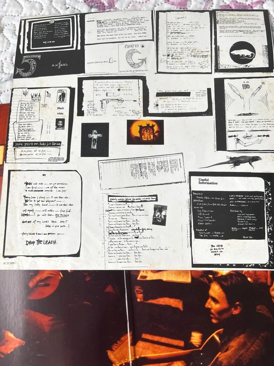 Vinil versus Pearl Jam - Foto 3