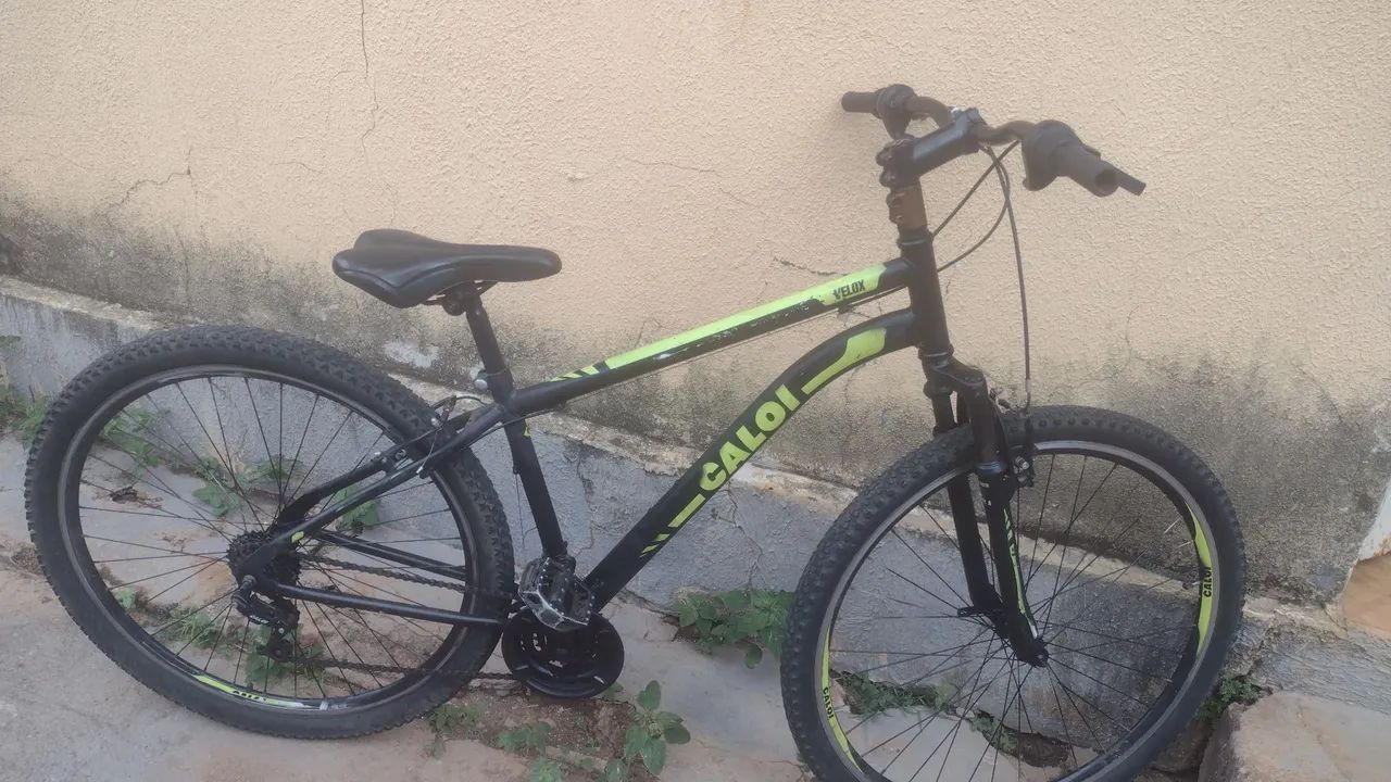 Bicicleta 29