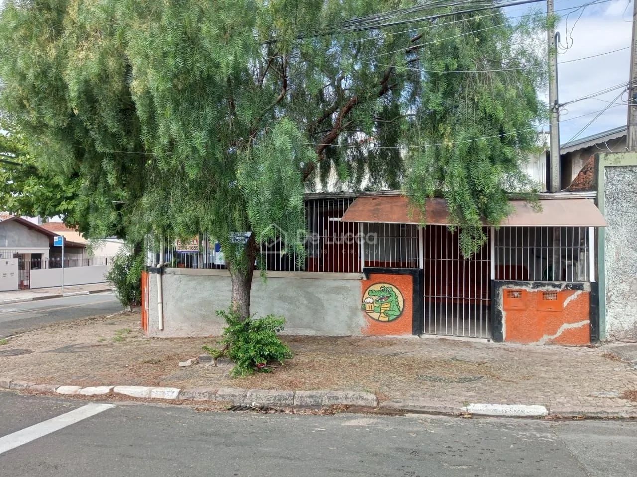 barracão - Jardim Nova Europa - Campinas - Foto 3