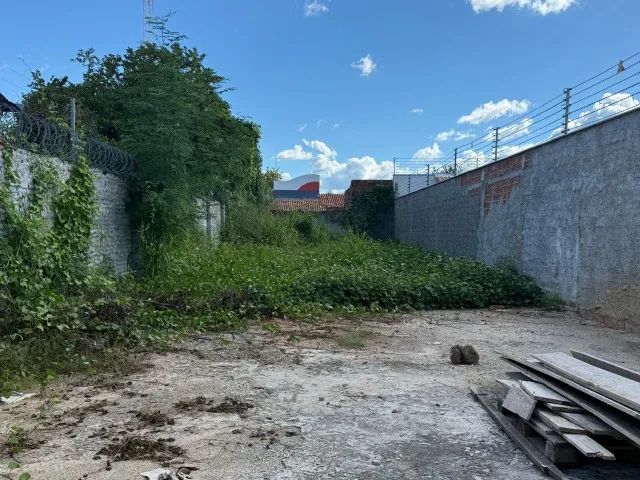 Terreno no centro da cidade 279m² - Foto 4
