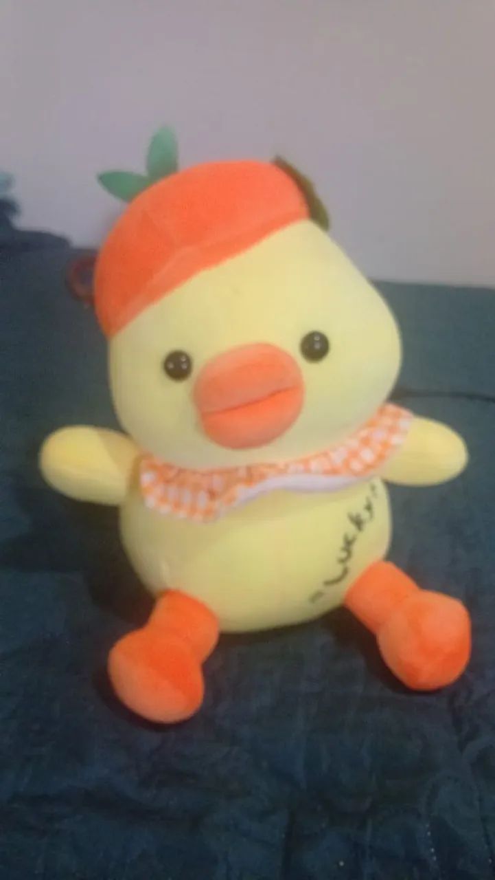 Urso de peluci - Foto 3