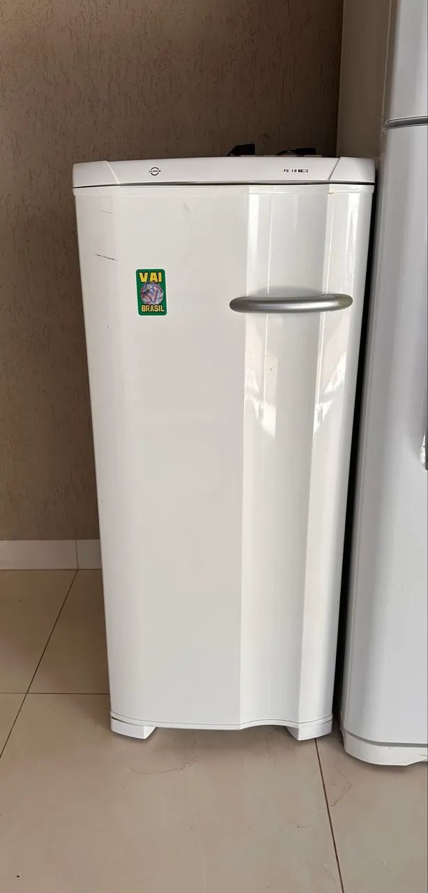 Freezer Eletrolux FÉ 18