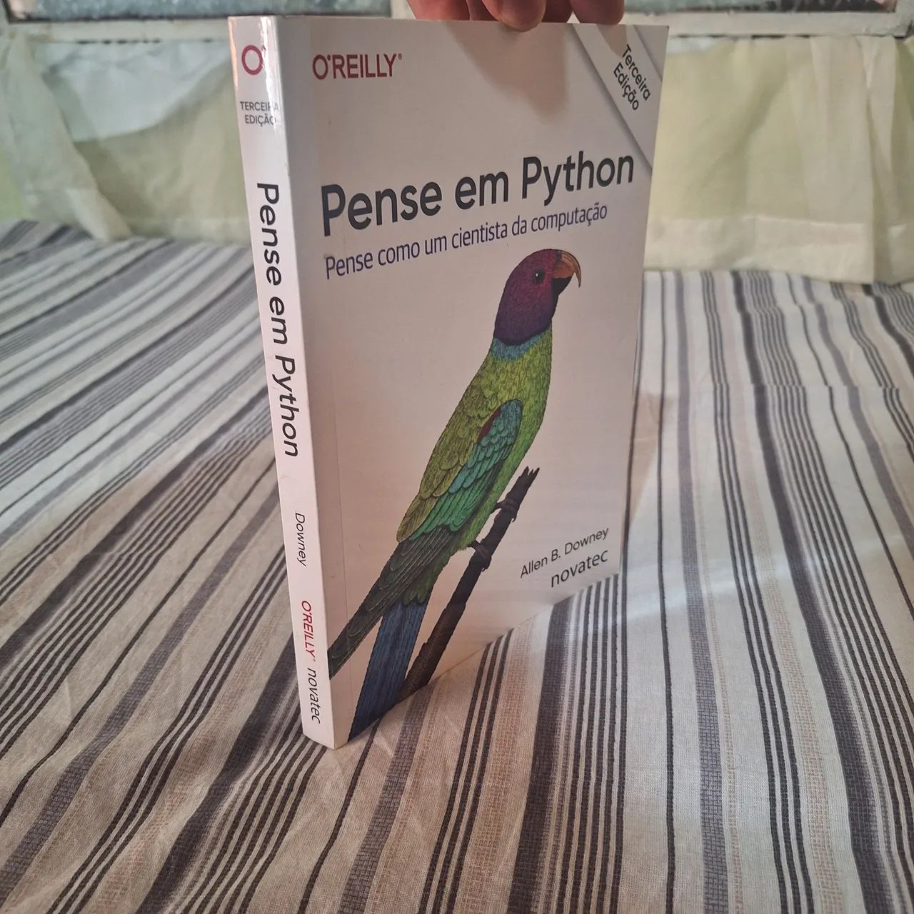 Livro - Pense em Python  - Foto 2