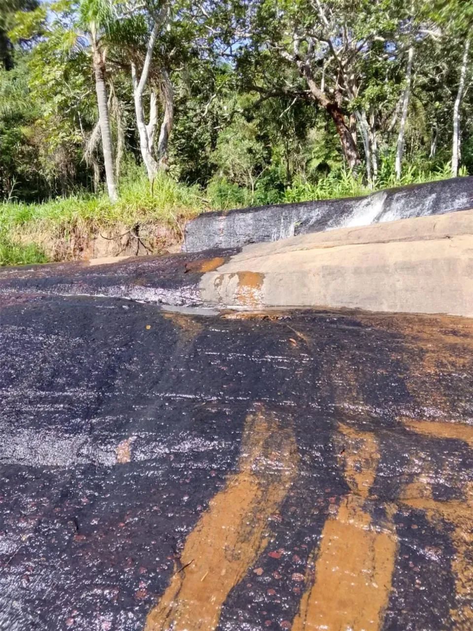 lotes com fácil acesso e lazer - Foto 5