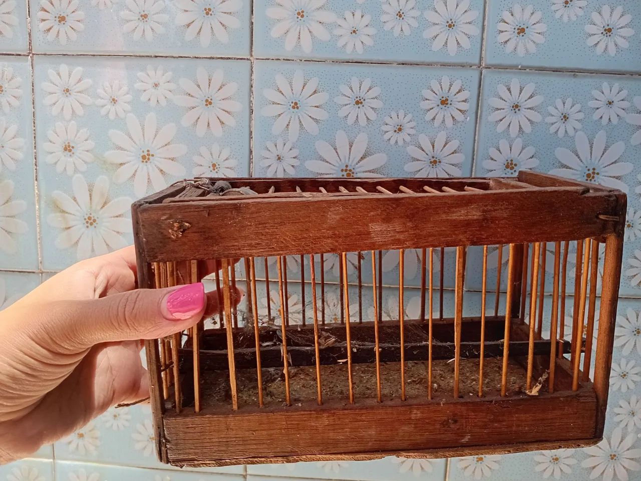 Lote com 5 açalpão por 100 reias - Foto 3