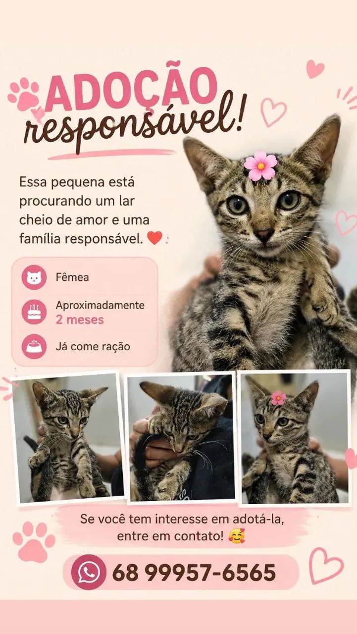 Adoção responsável 