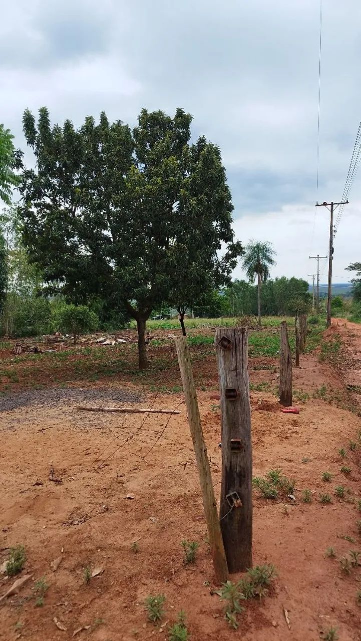 Vendo Sítio  - Foto 2