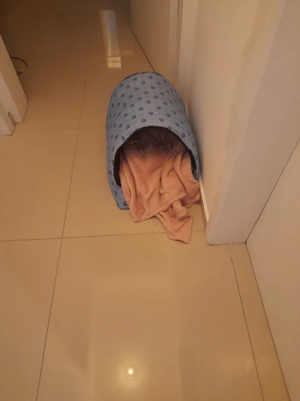Vendo casinha gato e toca - Foto 4