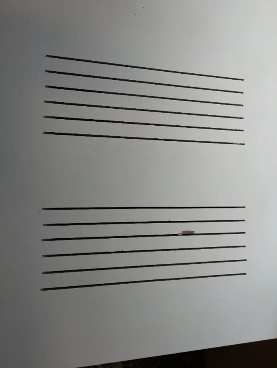Terrário - Foto 4