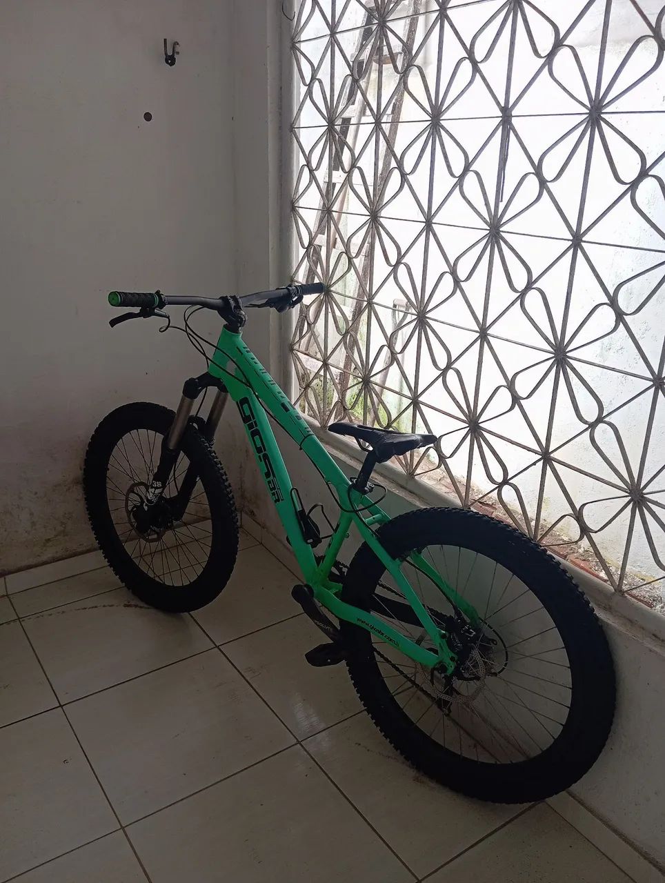 gios frx inteira ou peças  - Foto 2