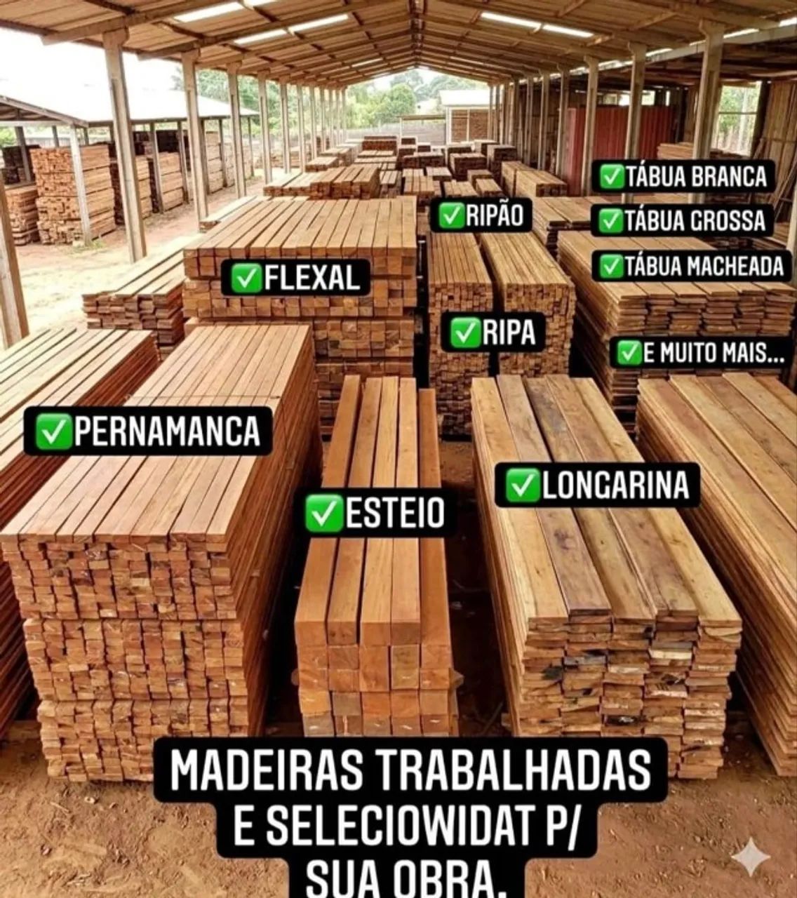 Madeira  - Foto 4
