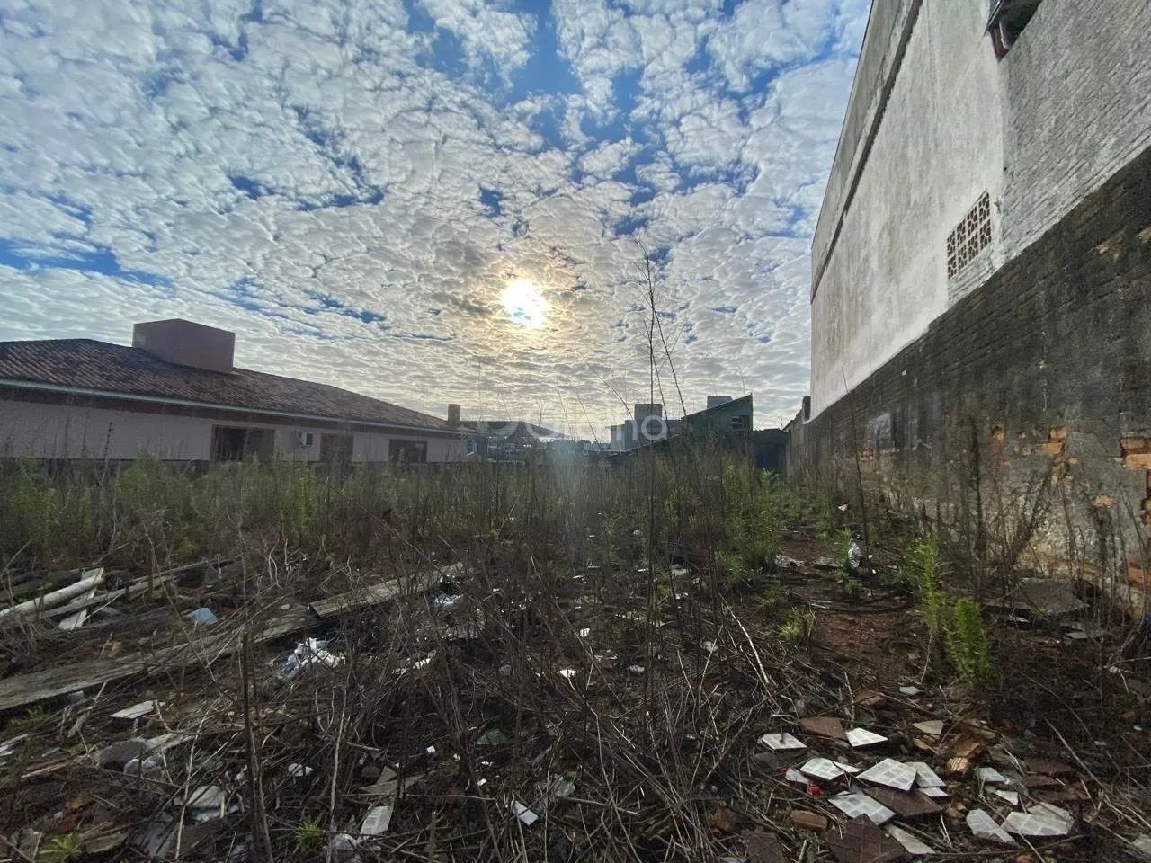 Terreno para Venda em Florianópolis, Capoeiras - Foto 3