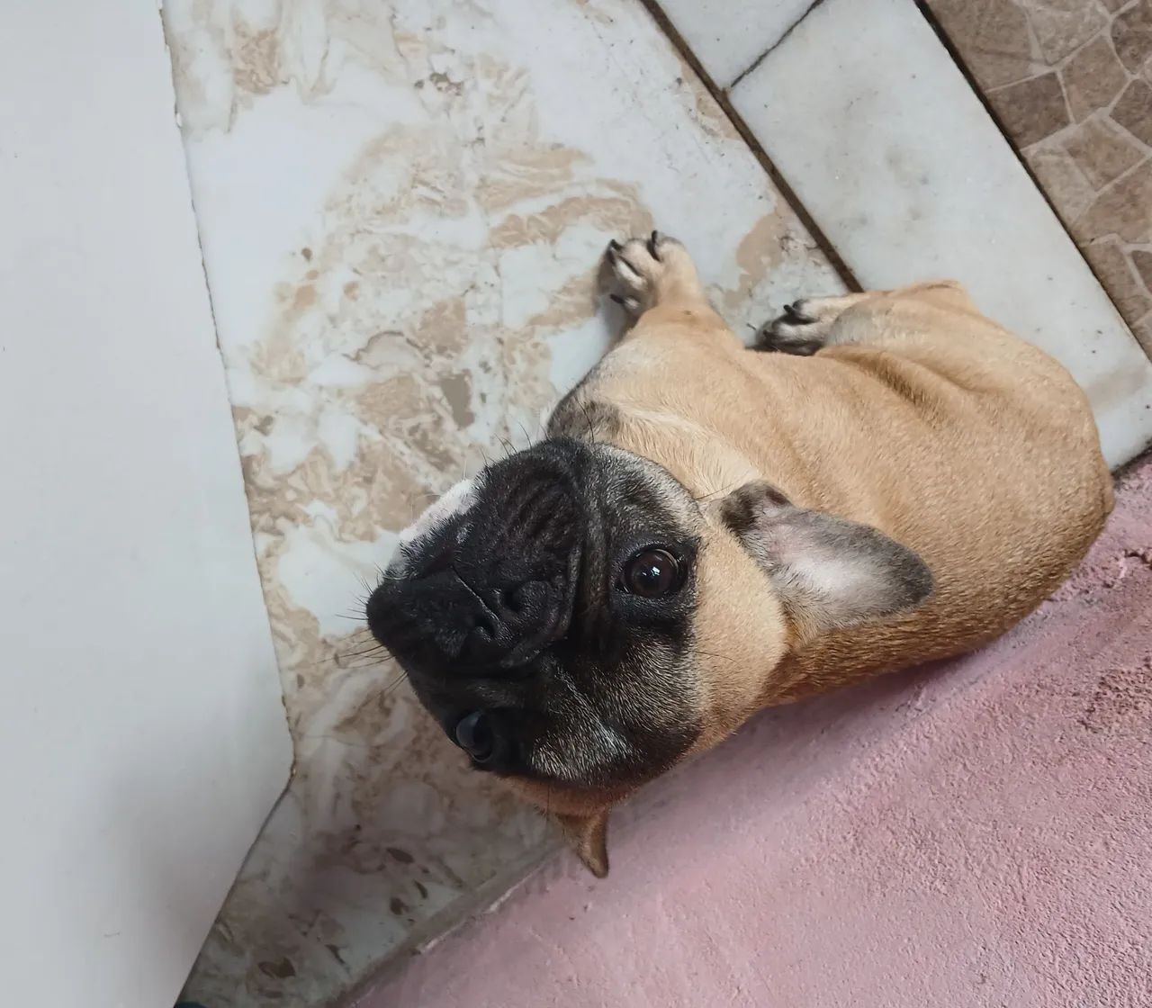 Vende-se  - Foto 5