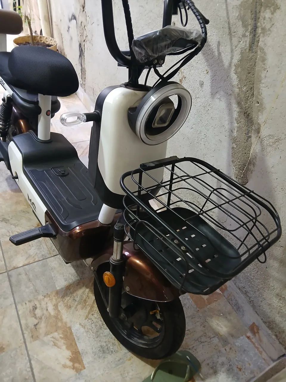 Motinha  - Foto 5