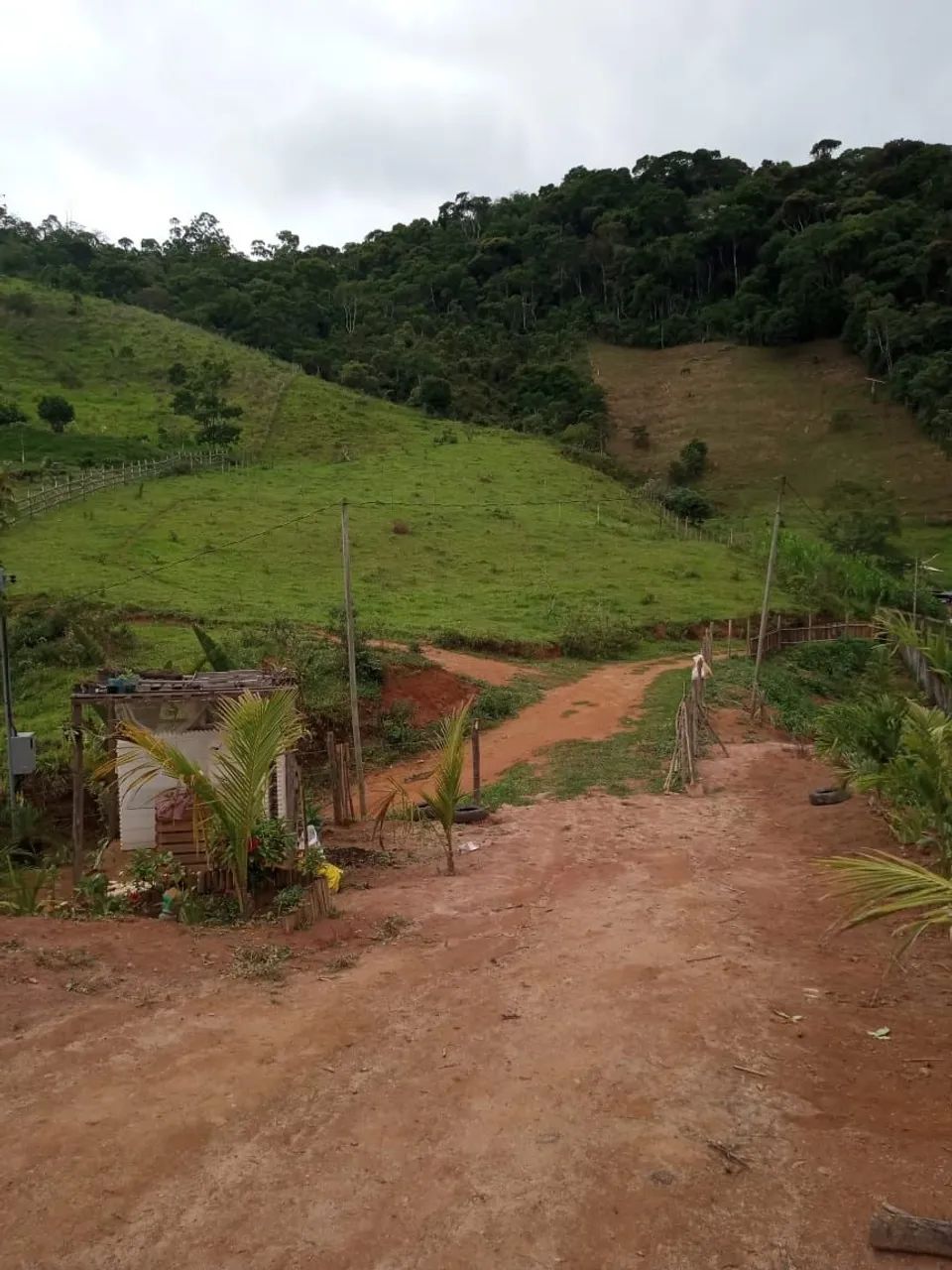 Foto - Juiz de Fora - São Pedro