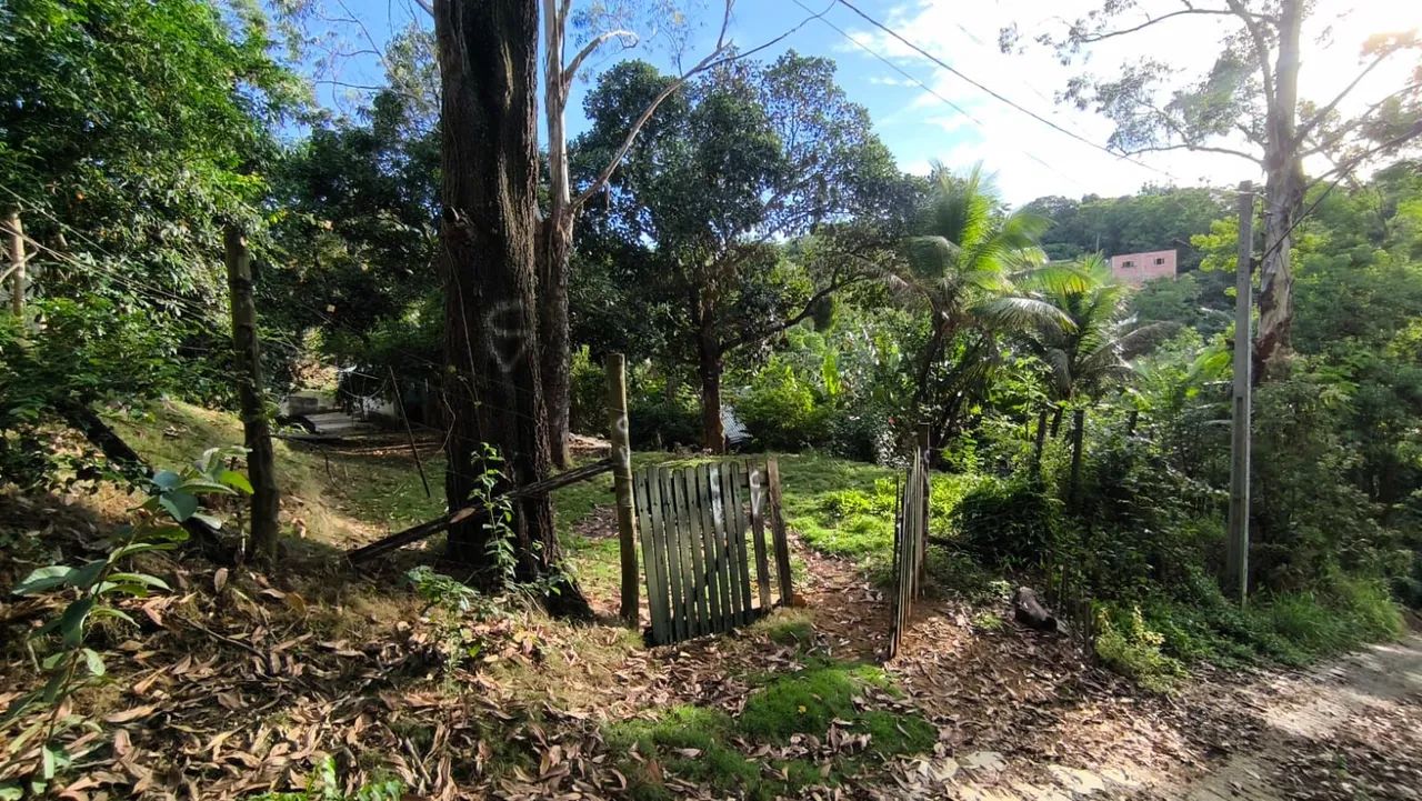 Vendo chácara em Belvedere 160 mil  - Foto 2