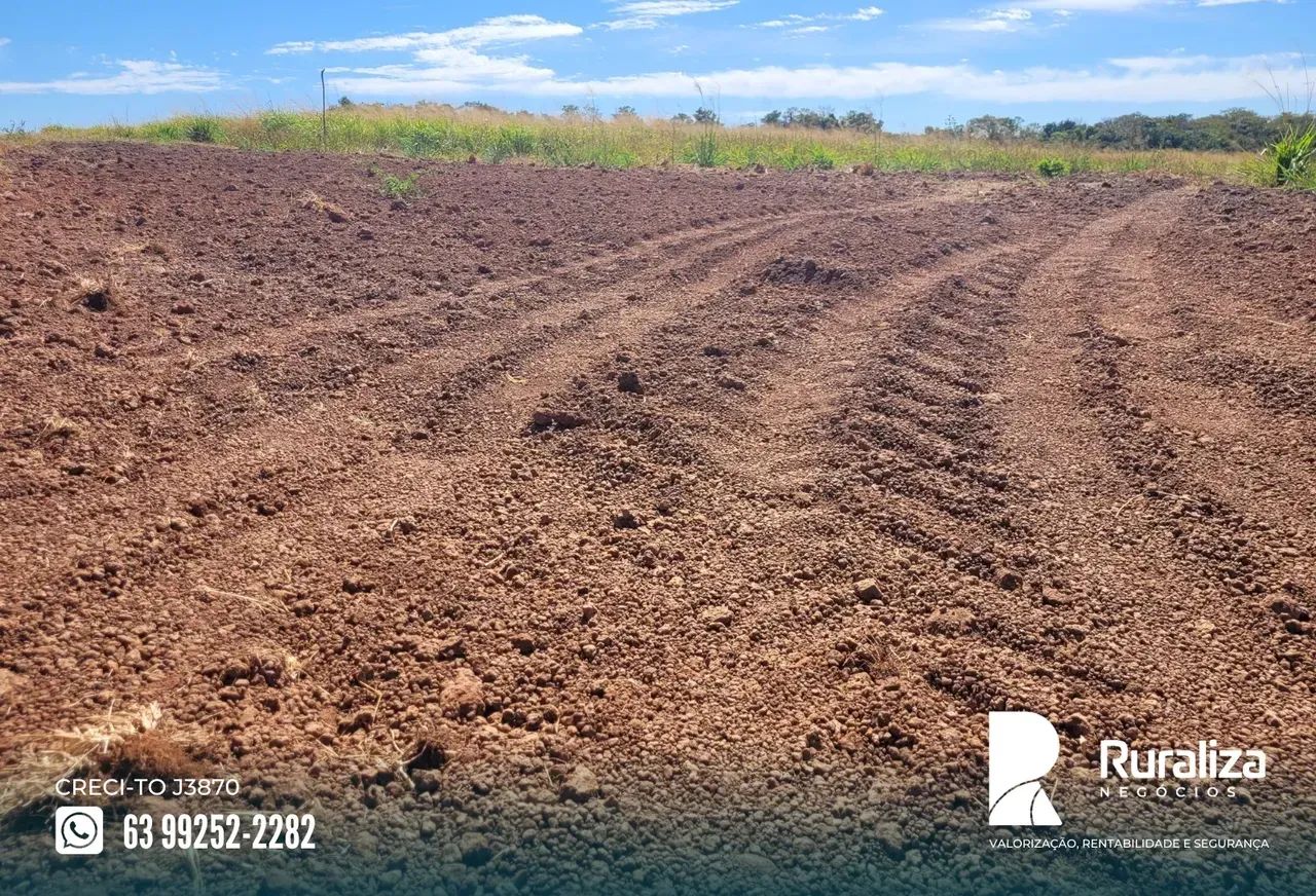 45 HA AGRICULTÁVEIS | NASCENTES | R$ 2,52 MILHÕES - Foto 5