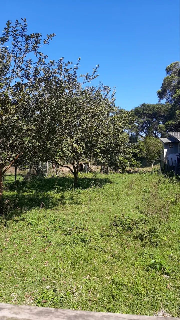TERRENO 343m² EM GAROPABA - PRÓXIMO À SURFLAND Escriturado - Foto 3