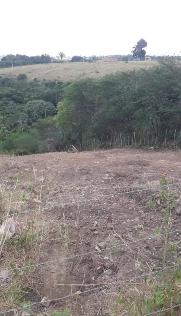 Terreno - Foto 4
