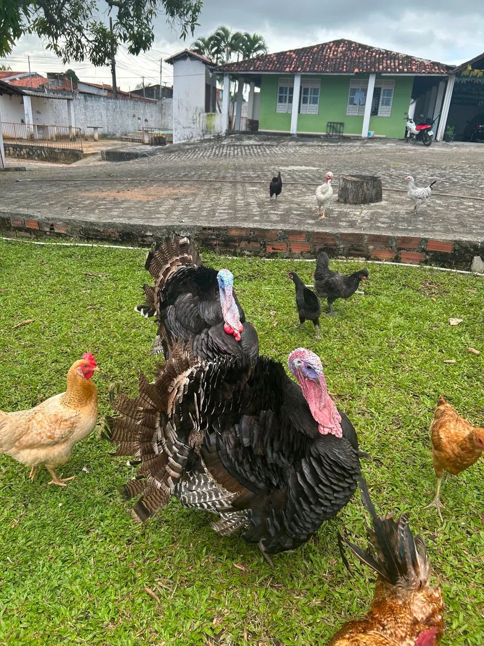 Vende-se  - Foto 2