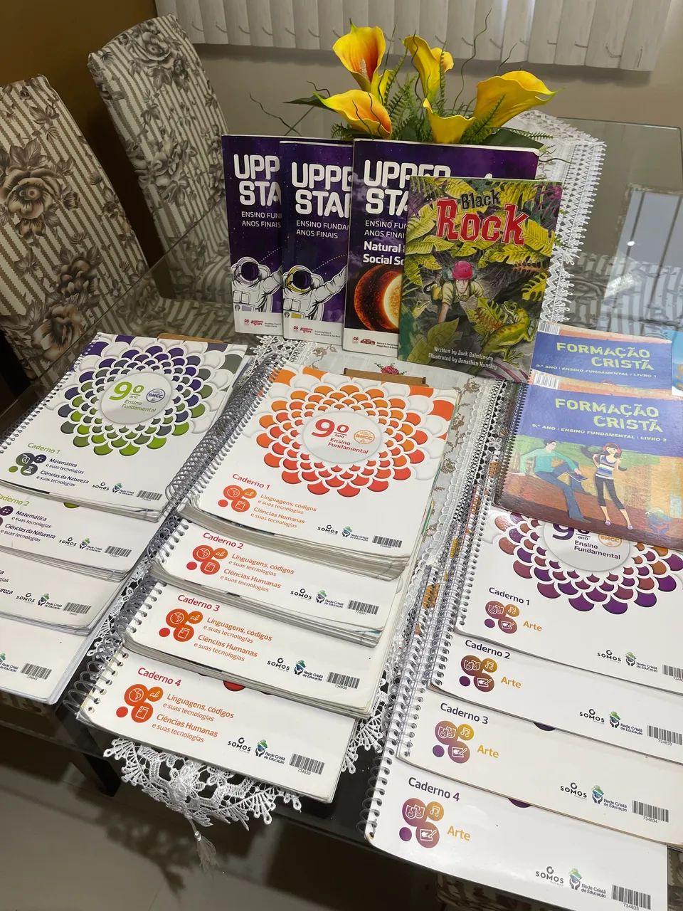 Livros - 9 ano Ensino Fundamental- Editora Somos - Rede Cristã 