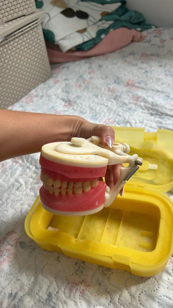 Manequim odontológico - Foto 3
