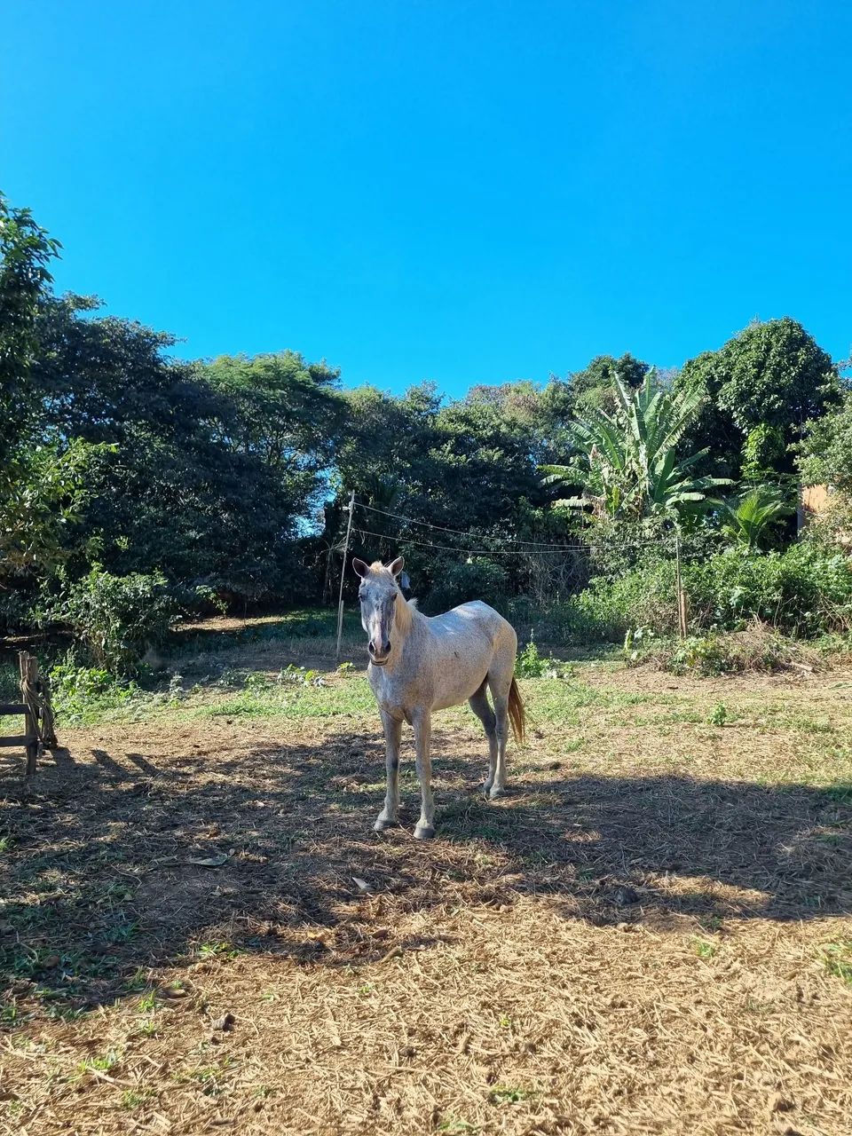 Vendo ou negocio  - Foto 2