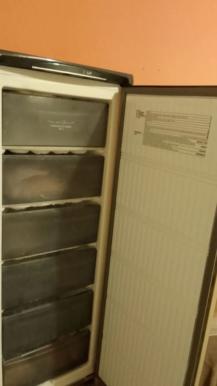 Freezer Vertical 