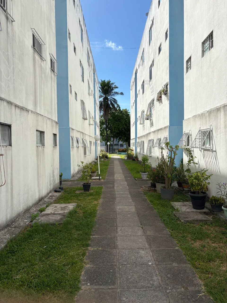 Foto - Recife - Arruda