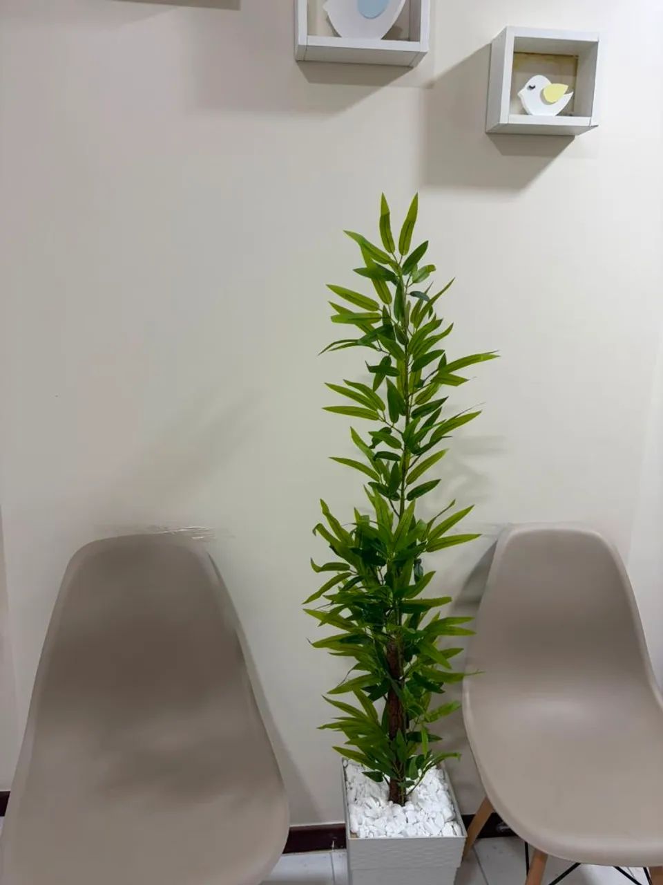 Para sua casa - Foto 2