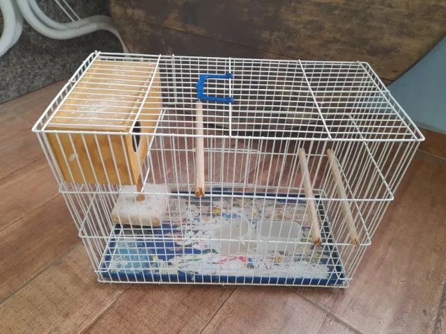 gaiola para capolista