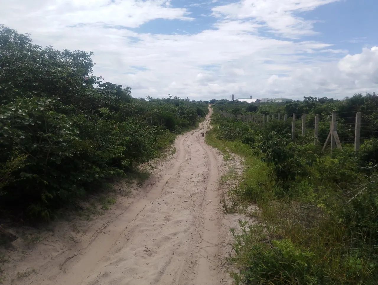 Terreno em barreirinhas Maranhão