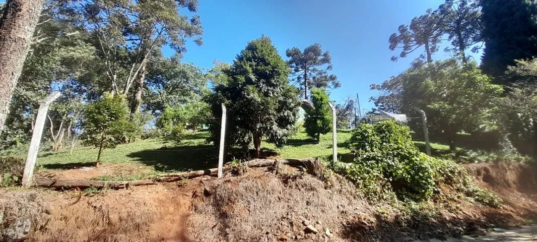 Chácara - Foto 5