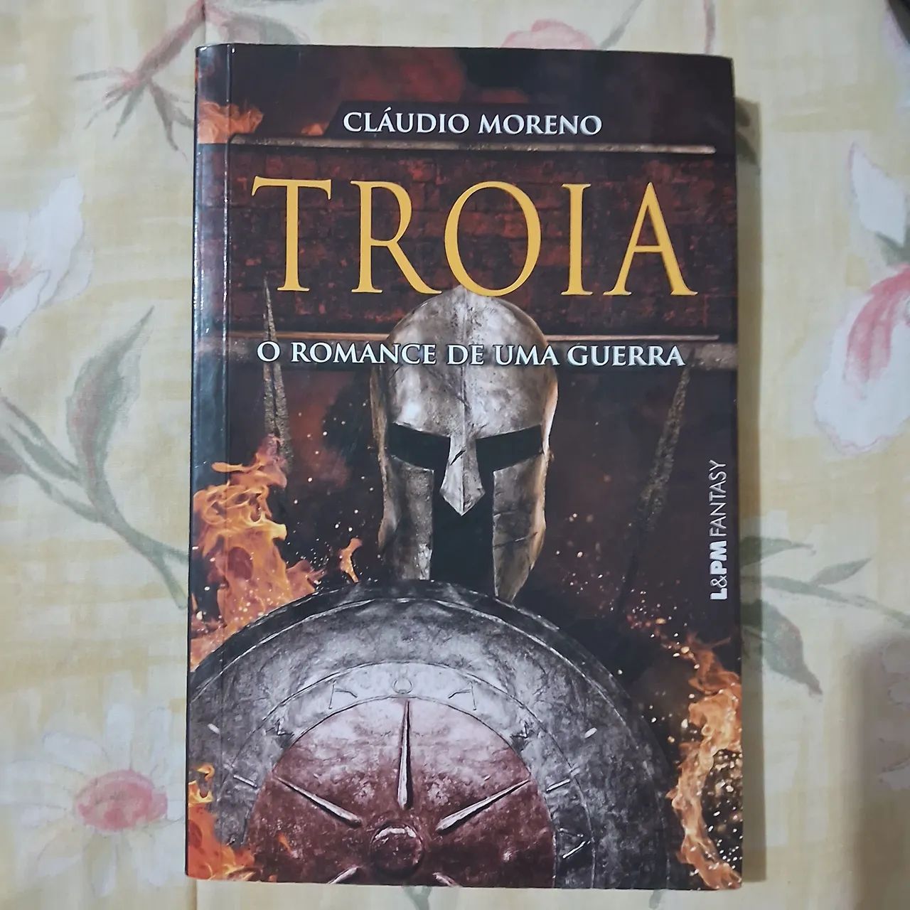 Troia: o romance de uma guerra