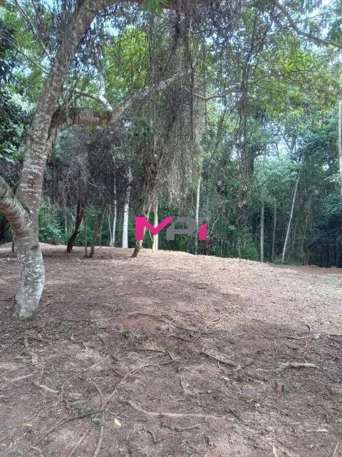 TERRENO A VENDA NO FAZENDA CAMPO VERDE - ÁREA TOTAL DE 5691 m2 CAXAMBU - JUNDIAÍ/SP - Foto 5