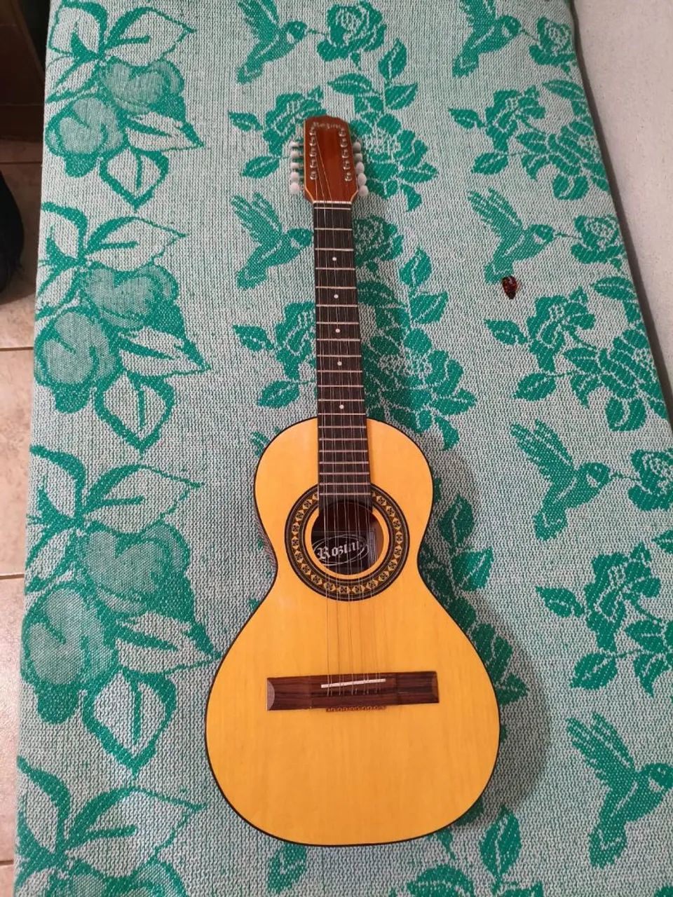 Viola caipira 