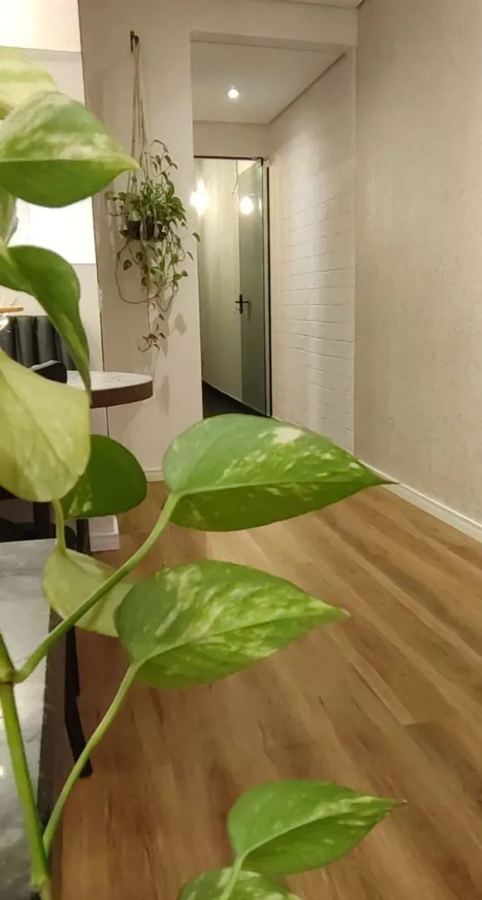 Foto - Joinville - Floresta