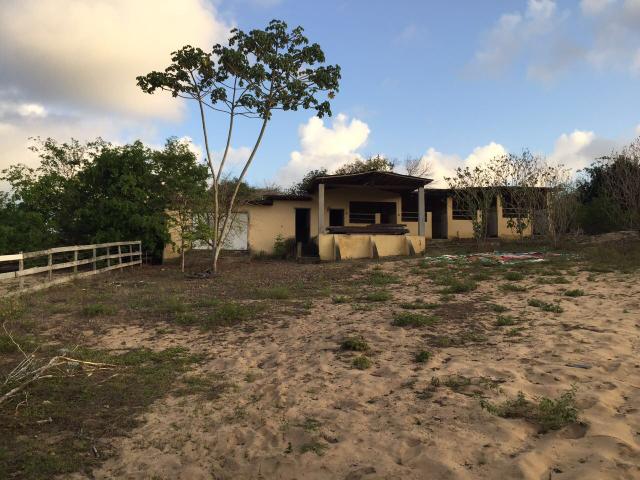 Granja pium - Foto 4